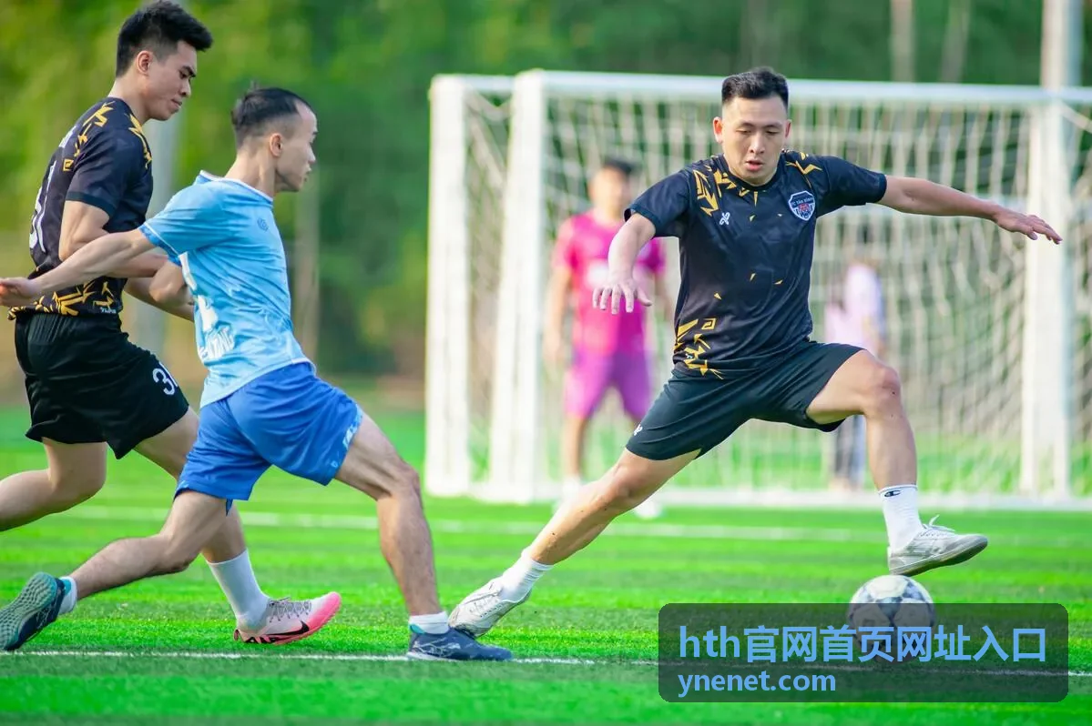 hth官网首页网址入口功能分区示意